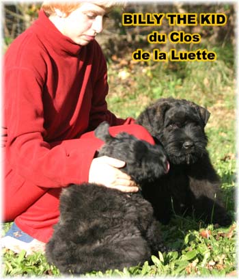 Elevage du CLOS DE LA LUETTE - COPYRIGHT DEPOSE